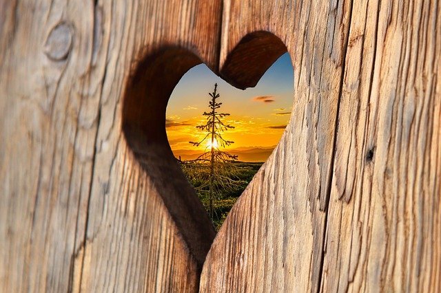 heart cut out of wood through which you see a tree in front of a setting sun