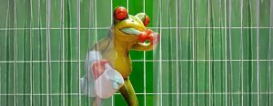 a frog in a shower with a bar a soap in one hand and a toothbrush in the other
